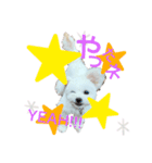 ととまる★ぽめぷー（個別スタンプ：1）