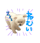 ととまる★ぽめぷー（個別スタンプ：2）
