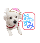 ととまる★ぽめぷー（個別スタンプ：6）