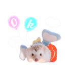 ハリネズミ きなこ（個別スタンプ：6）