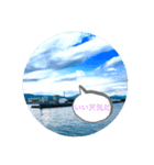 空の日々の気持ちスタンプ（個別スタンプ：1）