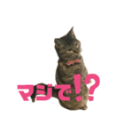 おはぎvol.1（個別スタンプ：5）