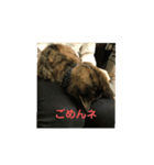 おはぎvol.1（個別スタンプ：6）