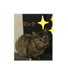 おはぎvol.1（個別スタンプ：7）