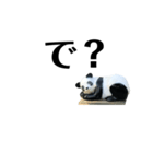 ぱんぱんだぱん（個別スタンプ：4）