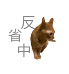 僕ふくちゃん（個別スタンプ：2）