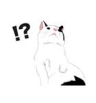 はぶあにゃいすでい（個別スタンプ：1）