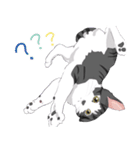 はぶあにゃいすでい（個別スタンプ：2）