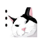 はぶあにゃいすでい（個別スタンプ：3）