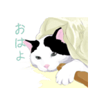 はぶあにゃいすでい（個別スタンプ：13）