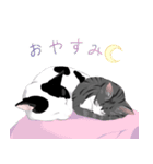 はぶあにゃいすでい（個別スタンプ：14）