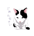 はぶあにゃいすでい（個別スタンプ：15）