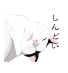 はぶあにゃいすでい（個別スタンプ：16）