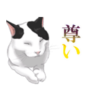 はぶあにゃいすでい（個別スタンプ：23）