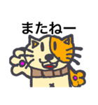 茶色の猫のチャンタ（個別スタンプ：16）