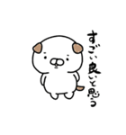 自活犬（じかつけん）（個別スタンプ：13）