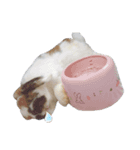たむたむとむぎ（個別スタンプ：2）