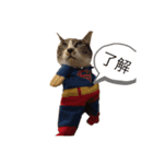 いわし（個別スタンプ：1）