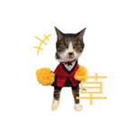 いわし（個別スタンプ：6）