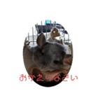 チン、リトル、サノス（個別スタンプ：3）