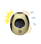 チン、リトル、サノス（個別スタンプ：4）