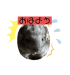 チン、リトル、サノス（個別スタンプ：7）
