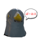 ポッポキジバト（個別スタンプ：6）