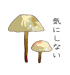 菌活しよう！（個別スタンプ：17）