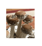 貧乏少年（個別スタンプ：5）