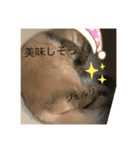貧乏少年（個別スタンプ：8）