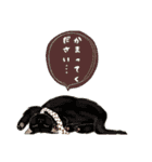 ほのぼのANIMAL〜日常会話〜（個別スタンプ：12）
