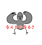 はとポリス（個別スタンプ：34）