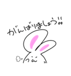 肉まんうさぎ（個別スタンプ：4）