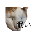 何も無い1日（個別スタンプ：1）