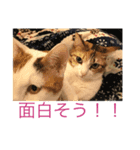 何も無い1日（個別スタンプ：2）