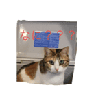 何も無い1日（個別スタンプ：4）