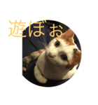何も無い1日（個別スタンプ：5）