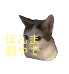 何も無い1日（個別スタンプ：7）