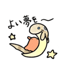 ゆるっとサメスタンプ（個別スタンプ：6）