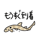 ゆるっとサメスタンプ（個別スタンプ：15）