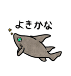 ゆるっとサメスタンプ（個別スタンプ：19）