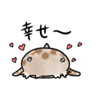 ゆるっとサメスタンプ（個別スタンプ：23）