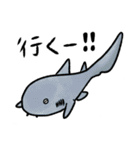 ゆるっとサメスタンプ（個別スタンプ：26）