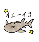 ゆるっとサメスタンプ（個別スタンプ：38）
