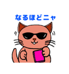 普段使い出来る✢ねこさんのスタンプ✢（個別スタンプ：14）
