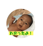 みきひと君スタンプ（個別スタンプ：1）