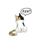 さくさくさくら！（個別スタンプ：8）