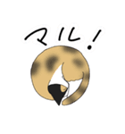 さくさくさくら！（個別スタンプ：9）