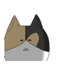 さくさくさくら！（個別スタンプ：19）