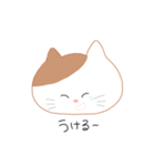 しんぷる ねこちゃん（個別スタンプ：12）
